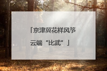 京津冀花样风筝云端“比武”