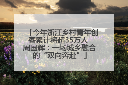 今年浙江乡村青年创客累计将超35万人 周国辉:一场城乡融合的“双向奔赴”