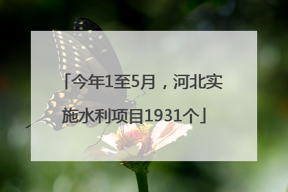 今年1至5月，河北实施水利项目1931个