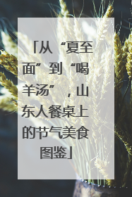 从“夏至面”到“喝羊汤”，山东人餐桌上的节气美食图鉴