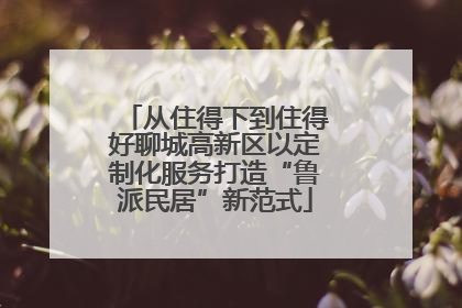 从住得下到住得好聊城高新区以定制化服务打造“鲁派民居”新范式