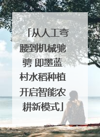 从人工弯腰到机械驰骋 即墨蓝村水稻种植开启智能农耕新模式