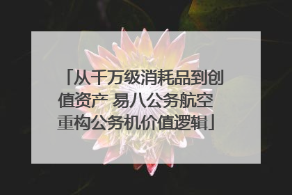 从千万级消耗品到创值资产 易八公务航空重构公务机价值逻辑
