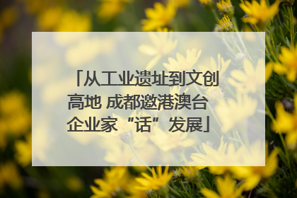 从工业遗址到文创高地 成都邀港澳台企业家“话”发展