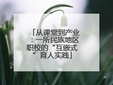 从课堂到产业：一所民族地区职校的“互嵌式”育人实践