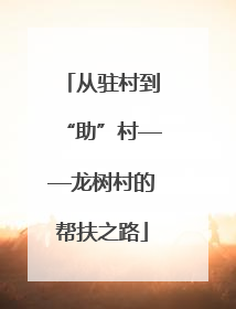 从驻村到“助”村——龙树村的帮扶之路