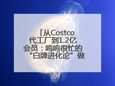 从Costco代工厂到1.2亿会员：鸣鸣很忙的“白牌进化论”做对了什么？