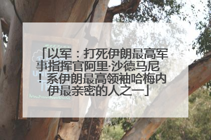 以军：打死伊朗最高军事指挥官阿里·沙德马尼！系伊朗最高领袖哈梅内伊最亲密的人之一