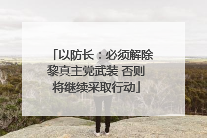 以防长：必须解除黎真主党武装 否则将继续采取行动