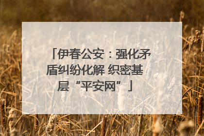 伊春公安：强化矛盾纠纷化解 织密基层“平安网”
