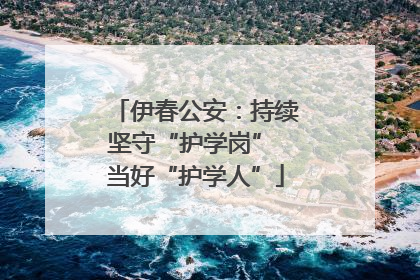 伊春公安：持续坚守“护学岗” 当好“护学人”