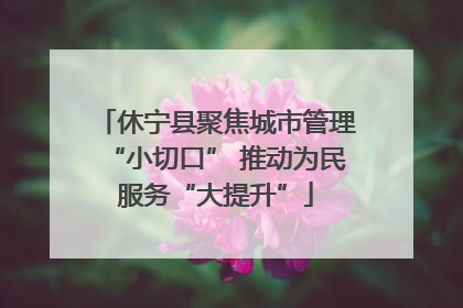 休宁县聚焦城市管理“小切口” 推动为民服务“大提升”
