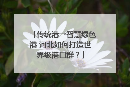 传统港→智慧绿色港 河北如何打造世界级港口群？