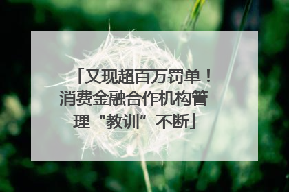 又现超百万罚单！消费金融合作机构管理“教训”不断