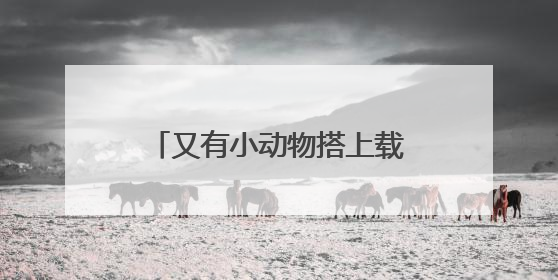 又有小动物搭上载人飞船去太空了！为什么模式生物能成为“探索代表”？