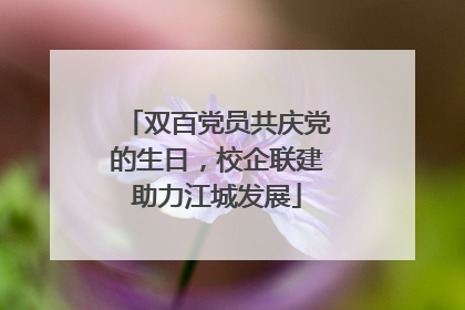 双百党员共庆党的生日，校企联建助力江城发展