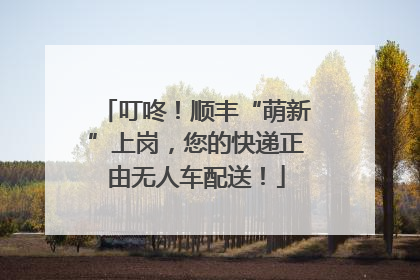 叮咚！顺丰“萌新”上岗，您的快递正由无人车配送！
