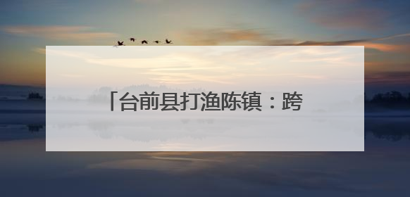 台前县打渔陈镇：跨省联建架通“连心桥” 惠及民生促振兴