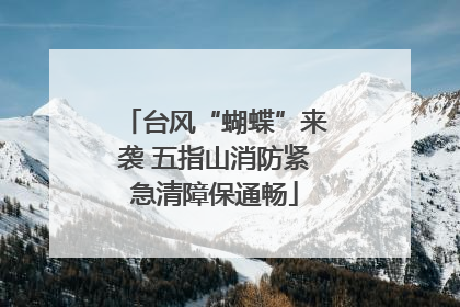 台风“蝴蝶”来袭 五指山消防紧急清障保通畅