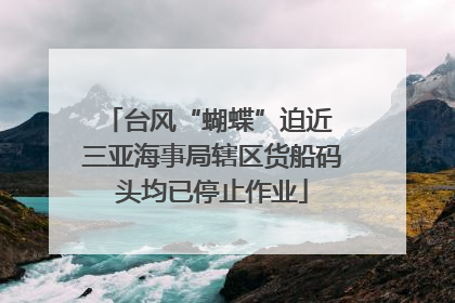 台风“蝴蝶”迫近 三亚海事局辖区货船码头均已停止作业