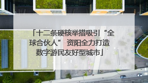 十二条硬核举措吸引“全球合伙人” 资阳全力打造数字游民友好型城市