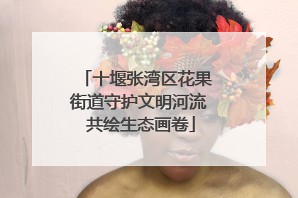 十堰张湾区花果街道守护文明河流 共绘生态画卷
