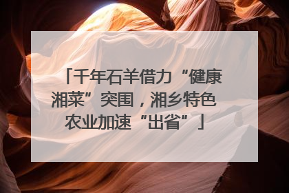 千年石羊借力“健康湘菜”突围，湘乡特色农业加速“出省”