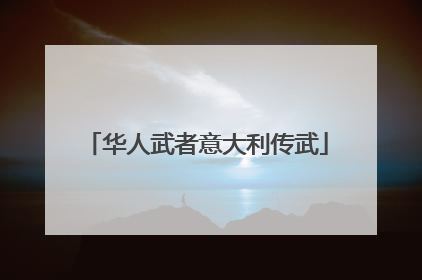 华人武者意大利传武