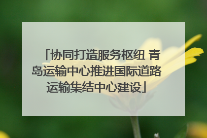 协同打造服务枢纽 青岛运输中心推进国际道路运输集结中心建设