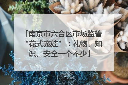 南京市六合区市场监管“花式宠娃”：礼物、知识、安全一个不少