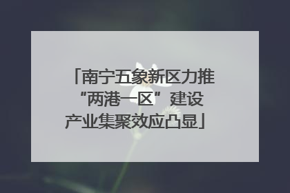南宁五象新区力推“两港一区”建设 产业集聚效应凸显