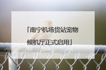 南宁机场货站宠物候机厅正式启用