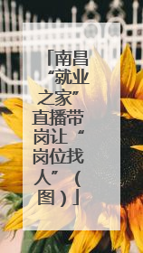 南昌“就业之家”直播带岗让“岗位找人”（图）