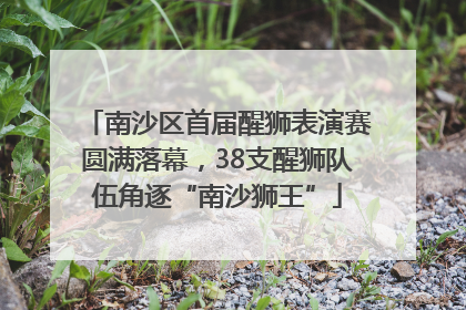 南沙区首届醒狮表演赛圆满落幕，38支醒狮队伍角逐“南沙狮王”