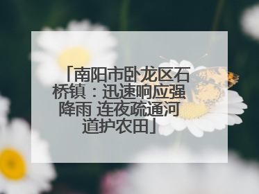南阳市卧龙区石桥镇：迅速响应强降雨 连夜疏通河道护农田