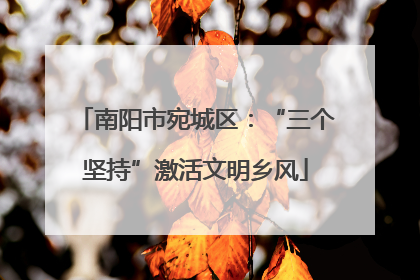 南阳市宛城区：“三个坚持”激活文明乡风