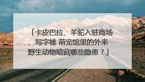 卡皮巴拉、羊驼入驻商场、写字楼 萌宠馆里的外来野生动物暗藏哪些隐患？