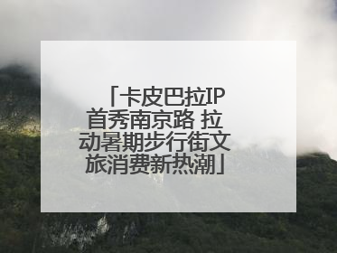 卡皮巴拉IP首秀南京路 拉动暑期步行街文旅消费新热潮