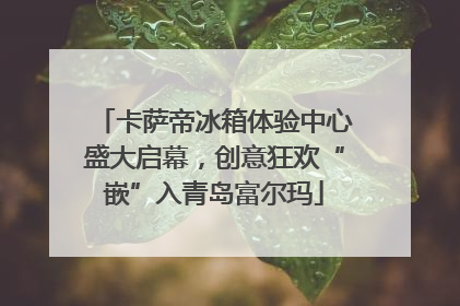 卡萨帝冰箱体验中心盛大启幕，创意狂欢“嵌”入青岛富尔玛