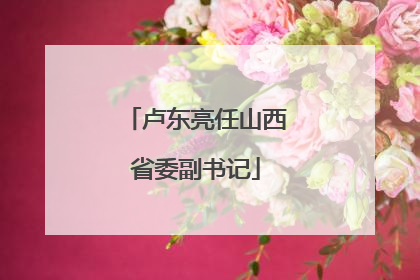 卢东亮任山西省委副书记