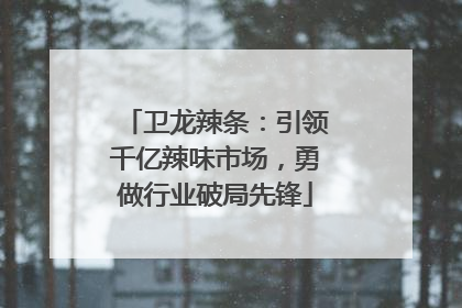 卫龙辣条：引领千亿辣味市场，勇做行业破局先锋