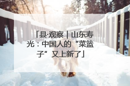 县·观察｜山东寿光：中国人的“菜篮子”又上新了