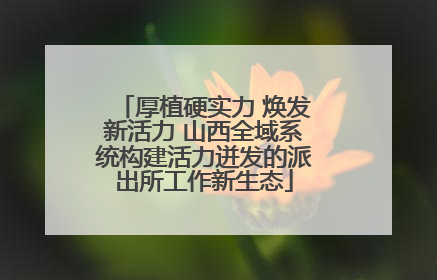 厚植硬实力 焕发新活力 山西全域系统构建活力迸发的派出所工作新生态