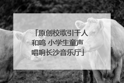 原创校歌引千人和鸣 小学生童声唱响长沙音乐厅