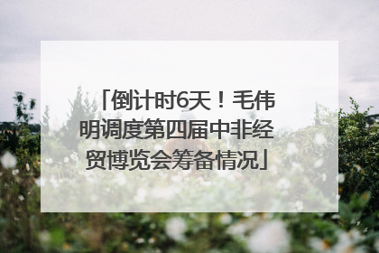 倒计时6天！毛伟明调度第四届中非经贸博览会筹备情况
