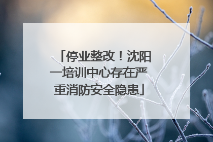 停业整改！沈阳一培训中心存在严重消防安全隐患