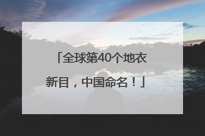 全球第40个地衣新目，中国命名！