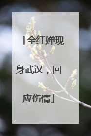 全红婵现身武汉，回应伤情