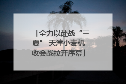 全力以赴战“三夏” 天津小麦机收会战拉开序幕