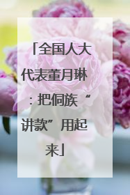 全国人大代表董月琳：把侗族“讲款”用起来
